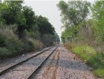 CN Track looking South at Meadow Lane Crossing